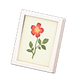 White x Pressed flower White x Pressed flower