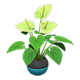 Green x NA
