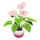 Pink x NA