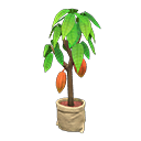 Cacao Tree Animal Crossing New Horizons | ACNH Critter - ACNHMALL