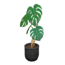 Monstera Animal Crossing New Horizons | ACNH Critter - ACNHMALL