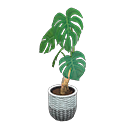Monstera Animal Crossing New Horizons | ACNH Critter - ACNHMALL
