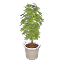 Schefflera Animal Crossing New Horizons | ACNH Critter - ACNHMALL