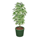 Schefflera Animal Crossing New Horizons | ACNH Critter - ACNHMALL