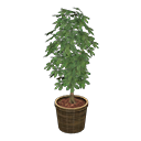 Schefflera Animal Crossing New Horizons | ACNH Critter - ACNHMALL
