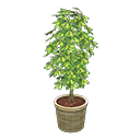 Schefflera Animal Crossing New Horizons | ACNH Critter - ACNHMALL