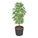 Schefflera Animal Crossing New Horizons | ACNH Critter - ACNHMALL