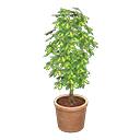 Schefflera Animal Crossing New Horizons | ACNH Critter - ACNHMALL