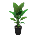 Bird-Of-Paradise in Animal Crossing New Horizons - ACNHMALL