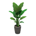 Bird-Of-Paradise in Animal Crossing New Horizons - ACNHMALL