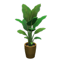 Bird-Of-Paradise in Animal Crossing New Horizons - ACNHMALL