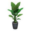 Bird-Of-Paradise in Animal Crossing New Horizons - ACNHMALL