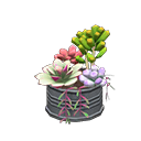 Succulent Plant Animal Crossing New Horizons | ACNH Critter - ACNHMALL