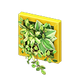 Yellow x NA Yellow x NA
