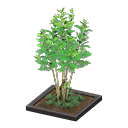 Evergreen Ash Animal Crossing New Horizons | ACNH Critter - ACNHMALL