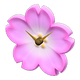 Pink x NA