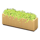 Light wood x NA Light wood x NA