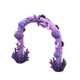 Purple x NA