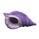 Purple x NA Purple x NA
