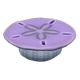 Purple x NA Purple x NA