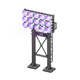 Purple x NA Purple x NA