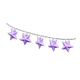 Purple x NA