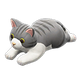 Gray Tabby x NA Gray Tabby x NA
