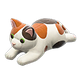 Calico x NA Calico x NA