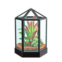 Terrarium DIY