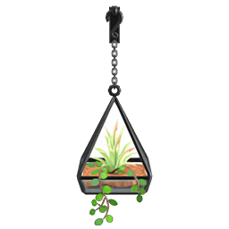 Hanging Terrarium DIY
