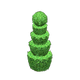 Light green x NA