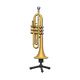 Gold x NA Gold x NA