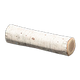 White birch x NA