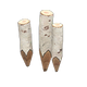 White birch x NA