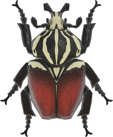 Goliath Beetle Animal Crossing New Horizons | ACNH Critter - ACNHMALL
