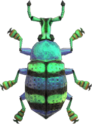 Blue Weevil Beetle Animal Crossing New Horizons | ACNH Critter - ACNHMALL