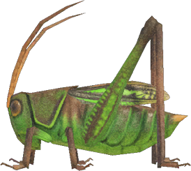 Grasshopper Animal Crossing New Horizons | ACNH Critter - ACNHMALL