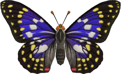 Great Purple Emperor Animal Crossing New Horizons | ACNH Critter - ACNHMALL