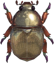 Scarab Beetle Animal Crossing New Horizons | ACNH Critter - ACNHMALL
