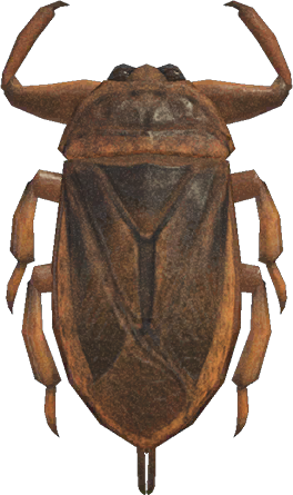 Giant Water Bug Animal Crossing New Horizons | ACNH Critter - ACNHMALL