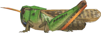 Migratory Locust Animal Crossing New Horizons | ACNH Critter - ACNHMALL