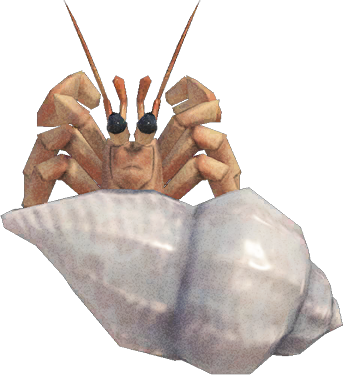 Hermit Crab Animal Crossing New Horizons | ACNH Critter - ACNHMALL