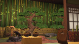 Japanese Zen Garden