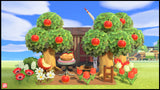 Mini Apple Picnic Set