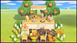 Mini Orange Picnic Set