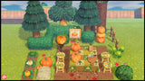 Mini Pumpkin Carving Farm
