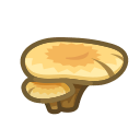Flat Mushroom Animal Crossing New Horizons | ACNH Critter - ACNHMALL