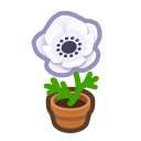 White Windflower Plant Animal Crossing New Horizons | ACNH Critter - ACNHMALL