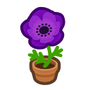 Purple Windflower Plant Animal Crossing New Horizons | ACNH Critter - ACNHMALL