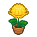 Yellow Mum Plant for Animal Crossing: New Horizons